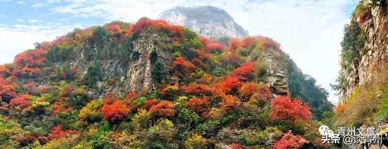 青州市区景区地图,青州全域旅游