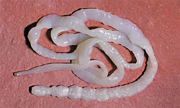 菊部周边长了个肉疙瘩,菊部旁边长了个肉疙瘩