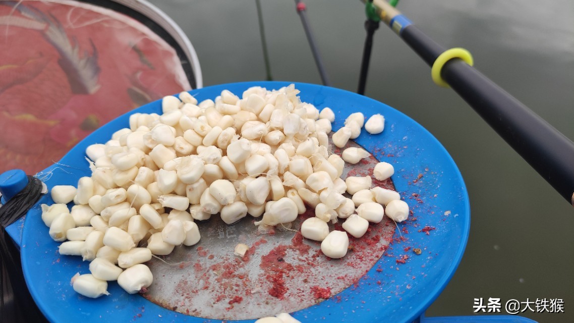 大师用玉米钓鱼怎样调漂,简单易学的钓鱼老玉米制作