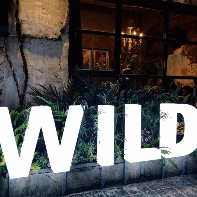 南京版“武康路”火了！藏在市区的南台巷到底有多少宝藏？