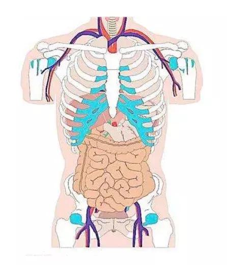 肚子疼健康小视频,身体健康视频全集
