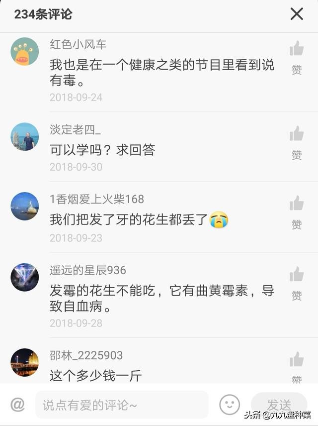 花生芽的危害辟谣,自己发的花生芽有毒吗