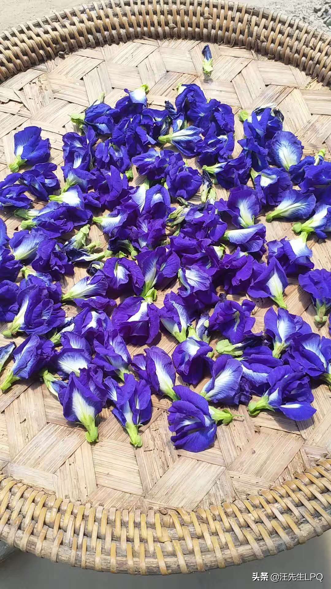 可以从老挝带回来的特产,老挝的风土人情和特产文化有哪些