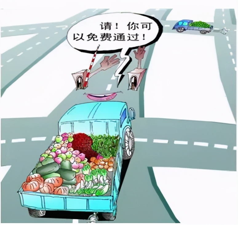 蔬菜怎么拉才算“绿通货物”？网友：下次连地也一块拉上