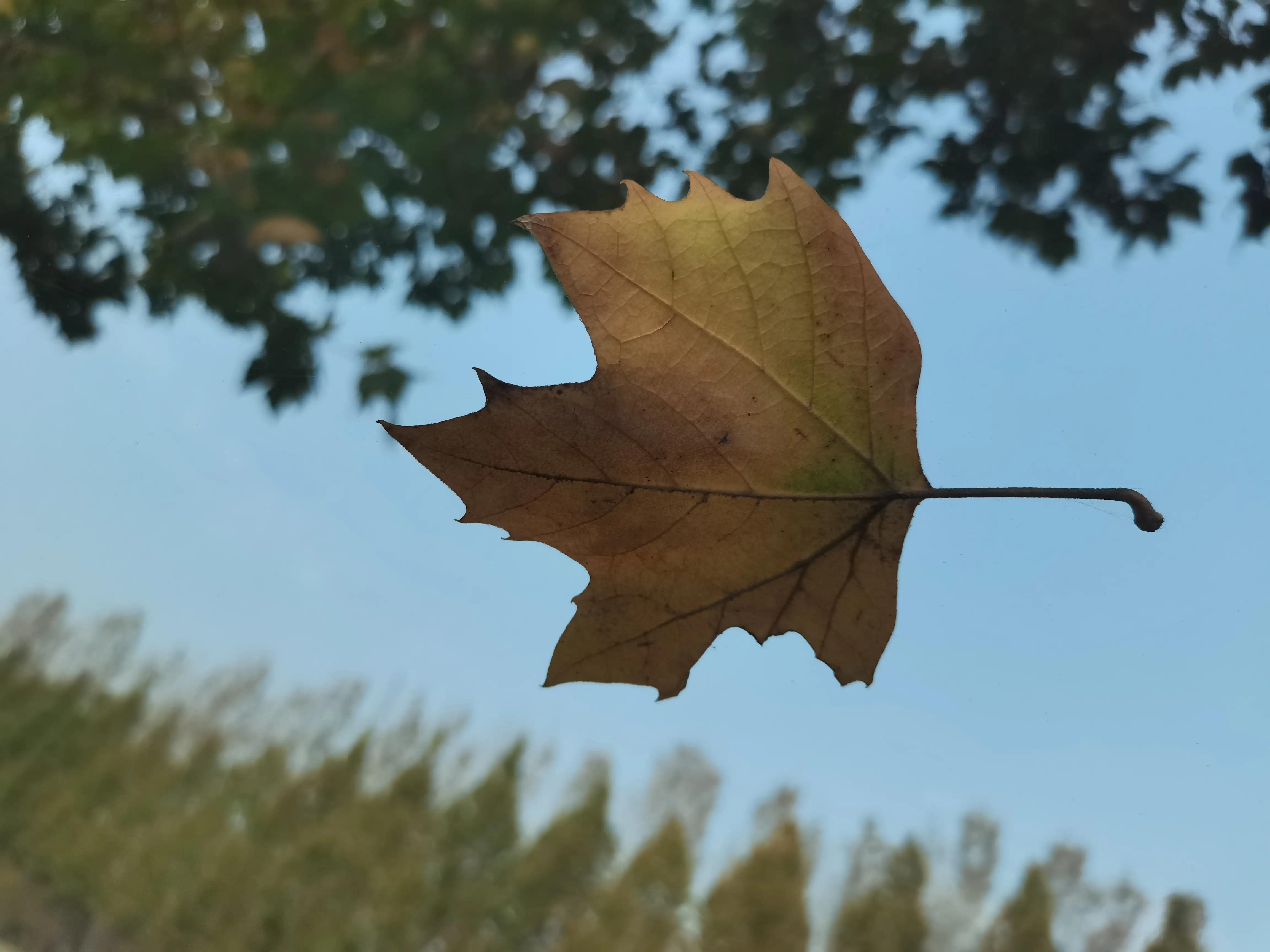 二手车商从收车到卖车整个流程,二手车商收车卖车一般赚几个点