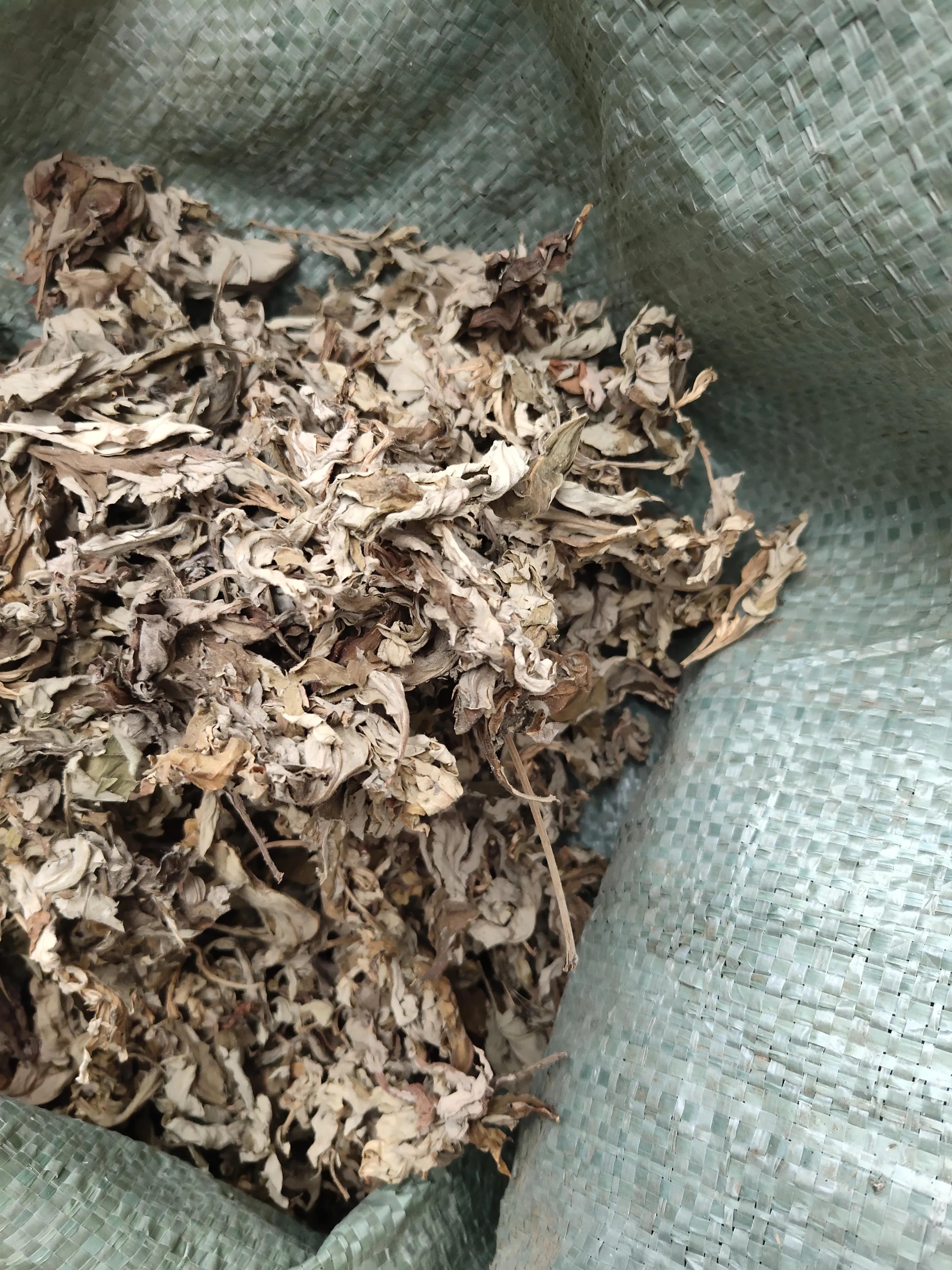 艾绒和艾条有什么区别,艾条的艾绒越精细越好