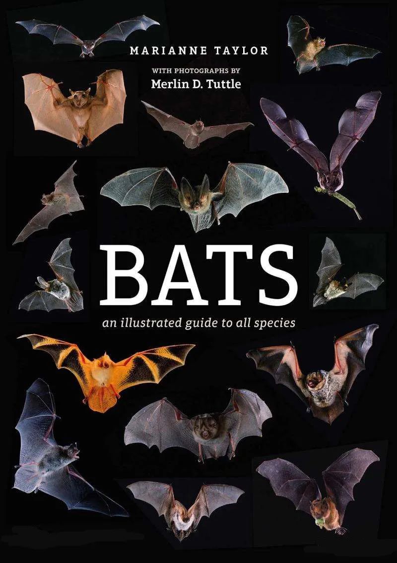 最近,我无师自通了40个专有名词