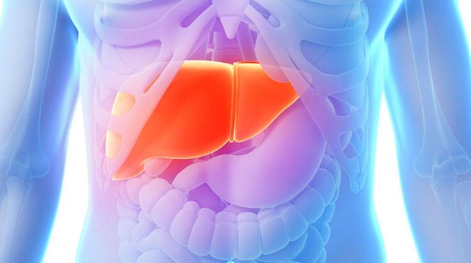 人长时间不吃鱼会怎样,一个月不吃糖不吃油身体的变化