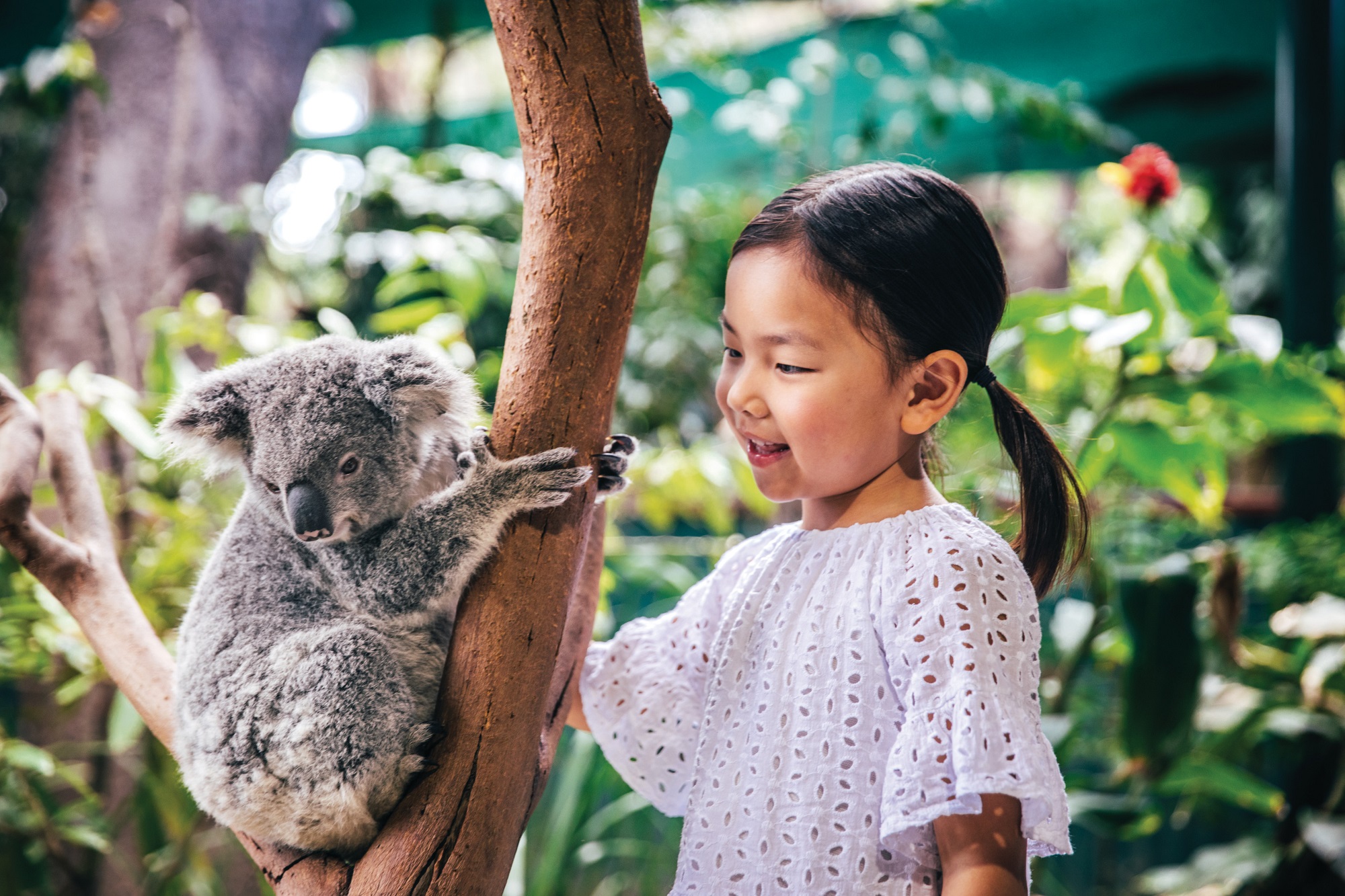周游欧洲攻略,周游世界旅行攻略