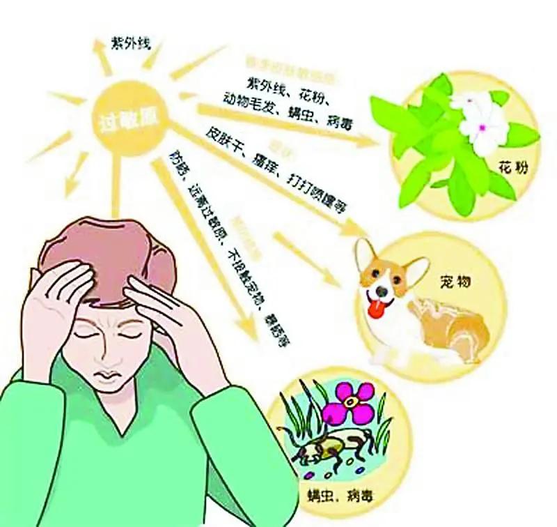 春季过敏怎么改善,春季过敏最好的解决方法