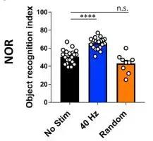 刺激大脑预防老年痴呆声音,十五赫兹音乐治疗老年痴呆症