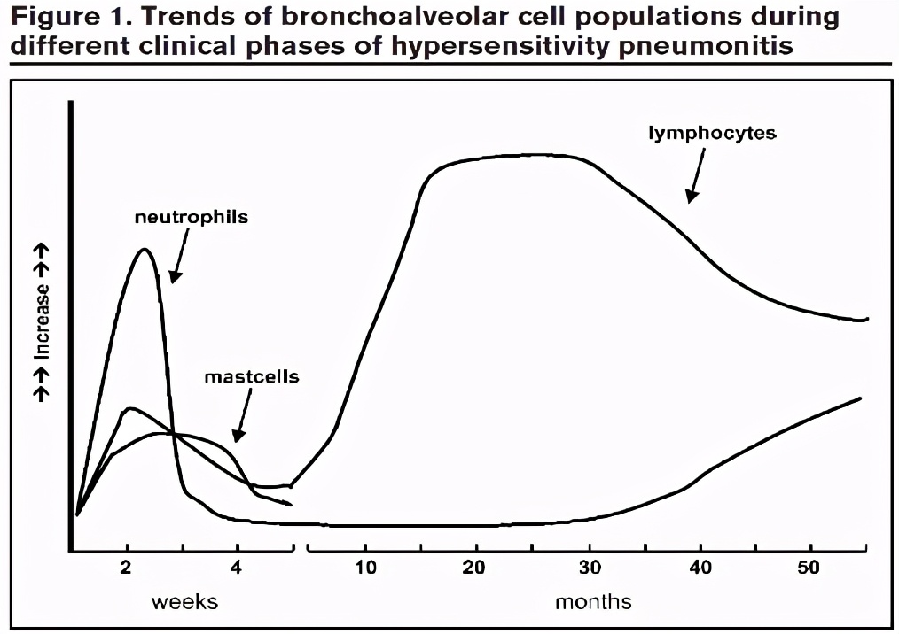 养鸽子造成皮肤真菌感染,养鸽子会得肺炎吗