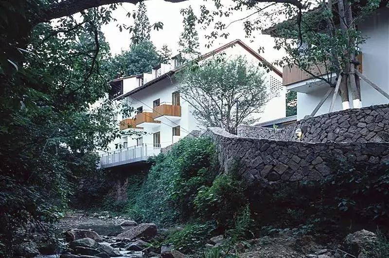 乡村振兴特色文化案例分享,关于乡村振兴比较有创意的点子