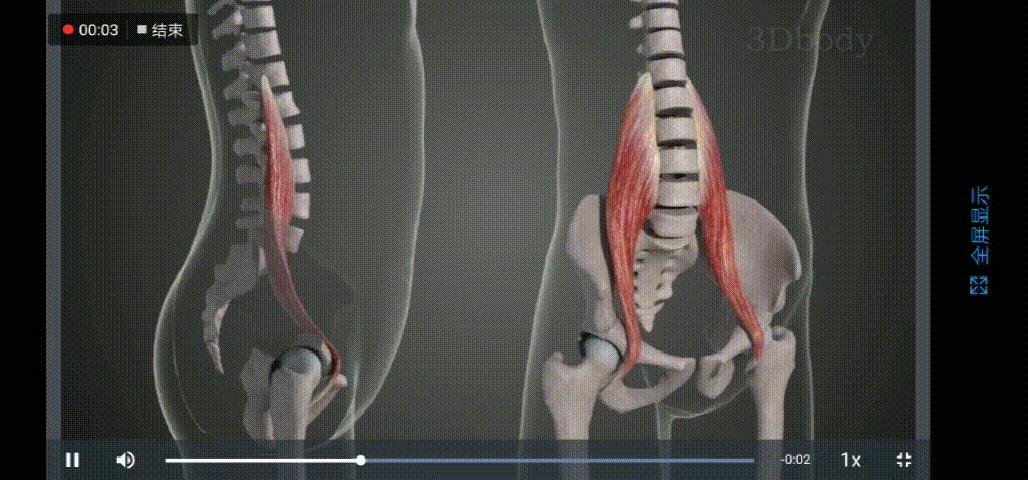 真翘臀和假翘臀怎么辨别,怎样判断翘臀是不是假的