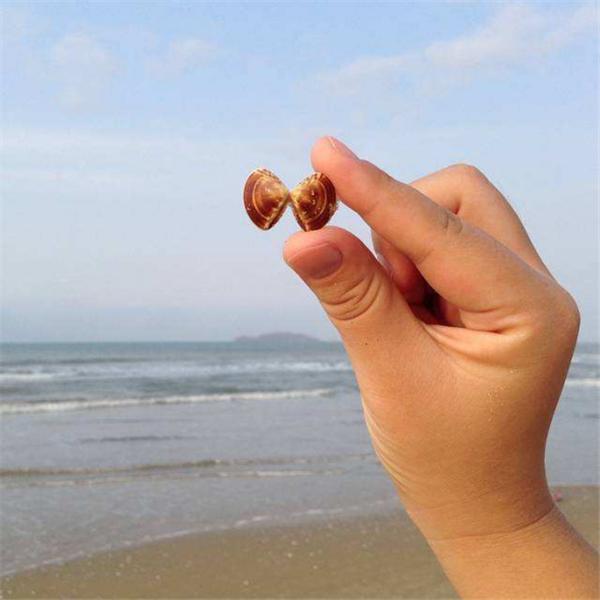 三亚亲子游玩攻略2-3天一晚住宿,三亚亲子游玩攻略二天一晚