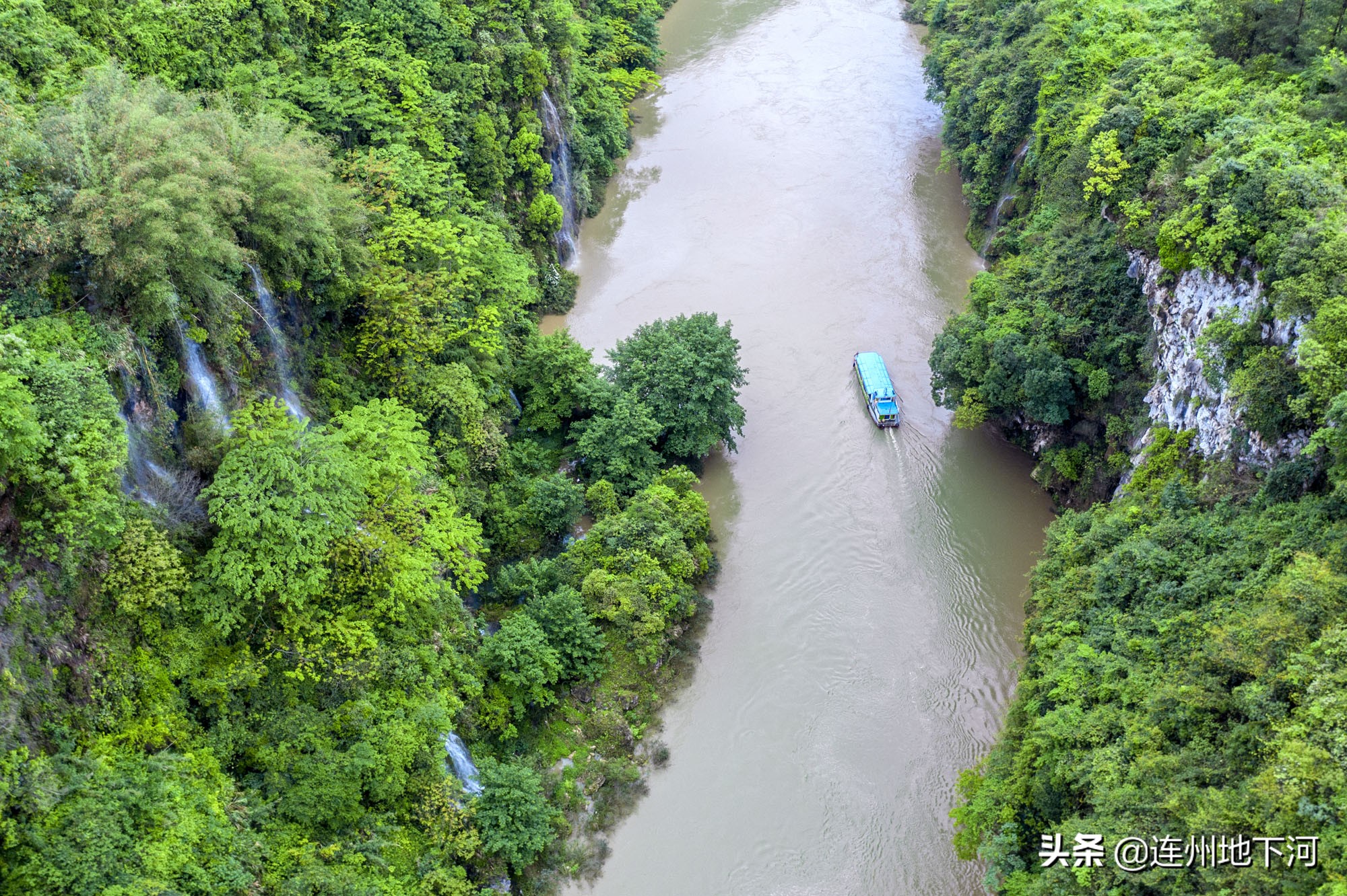 以自然之名为地球发声完整版,以生命之名为地球发声