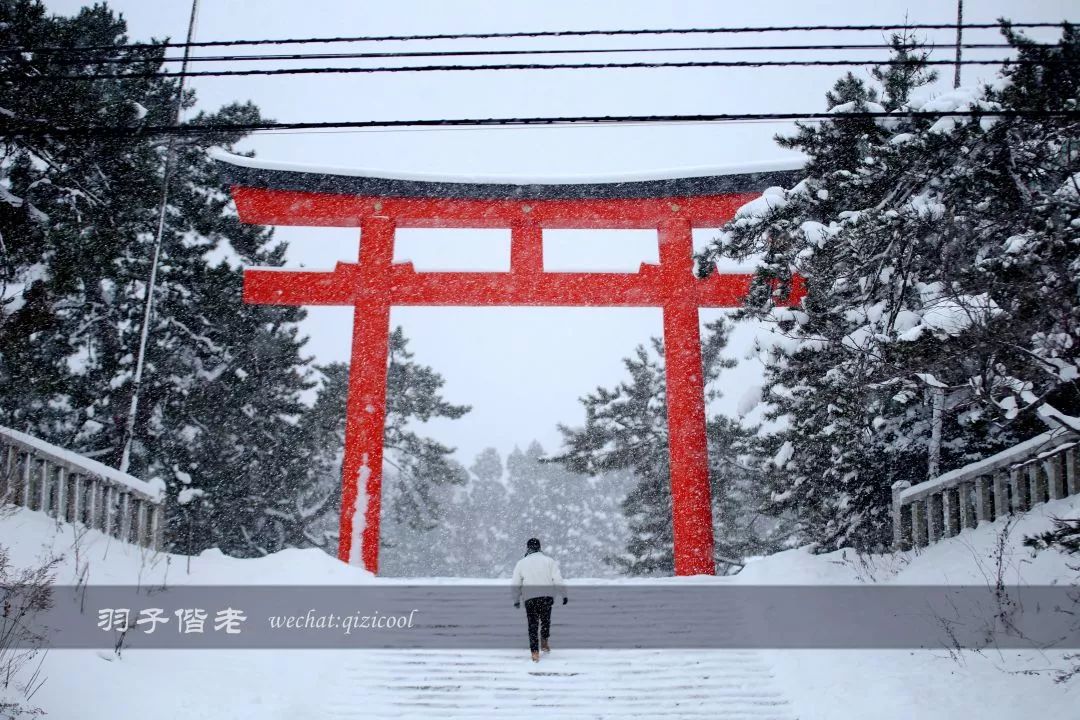 老实说,这一趟北海道就是为了拍好看的照片去的