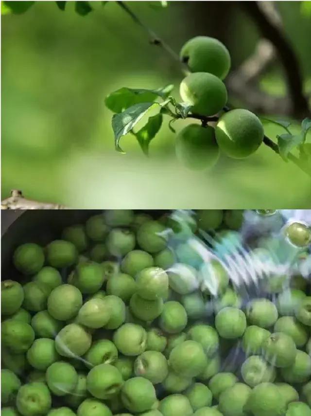 芒种种出新希望,芒种和幸福播种