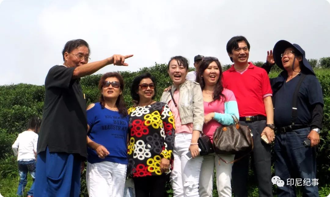 印尼苏门答腊乌龙茶特点,印尼苏门答腊乌龙茶