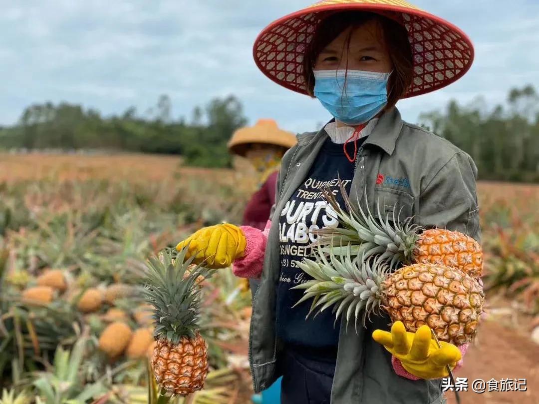 凤梨都不需要挑刺吗,凤梨不用挑刺吗