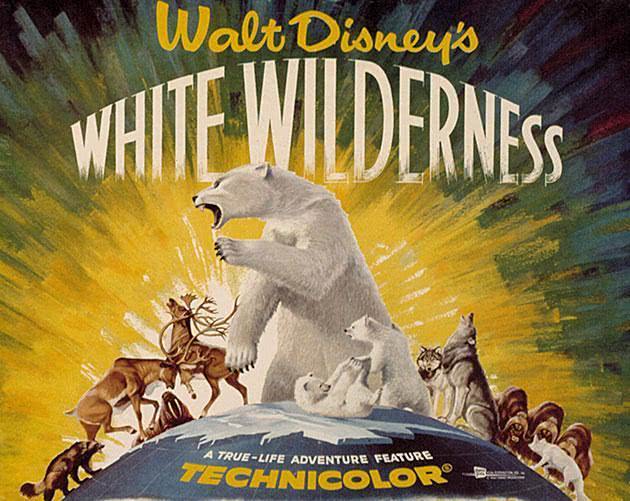 旅鼠集体跳海，暴露自杀，可能只是我们人类的臆想