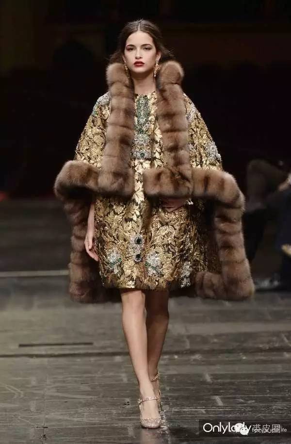 裘中之王野生紫貂,裘中之王是什么意思