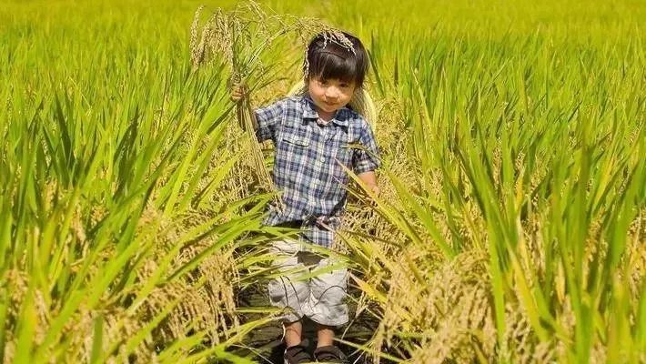 病入膏肓的吃货 (病入膏肓的美味)