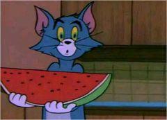 没有真功夫,没有李小龙的实战视频吗