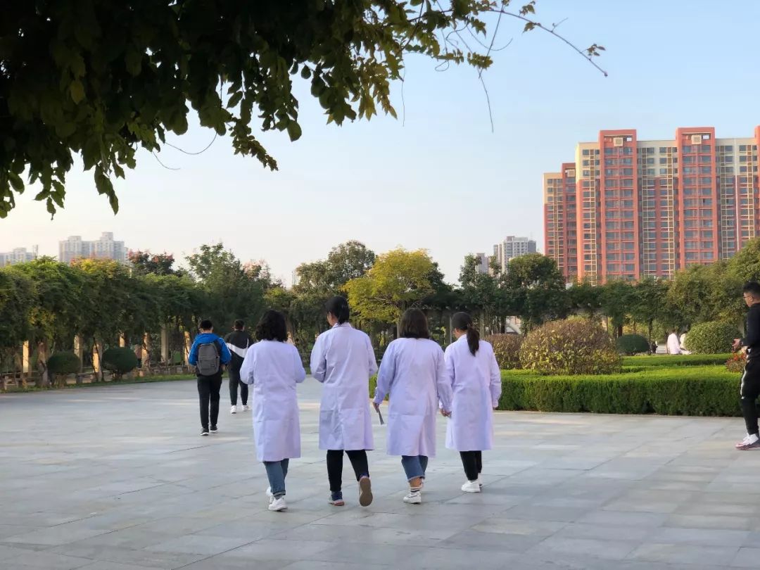 西安三大巨头,西安三巨头学校