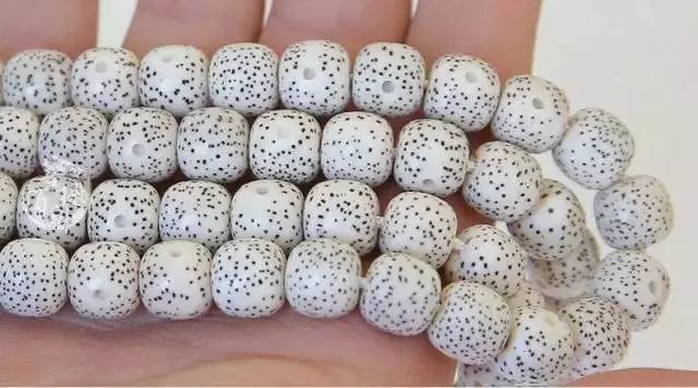 值得盘玩的几种星月,星月各种品种玩出来的区别