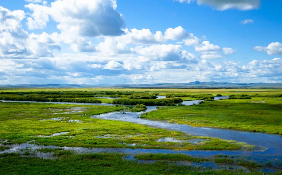 八月的呼伦贝尔大草原,辽阔的呼伦贝尔大草原风景