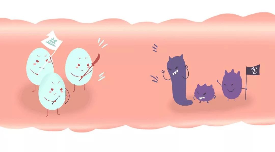 关于EGC身为铲屎官的你知多少？各种皮肤病都可能是EGC！