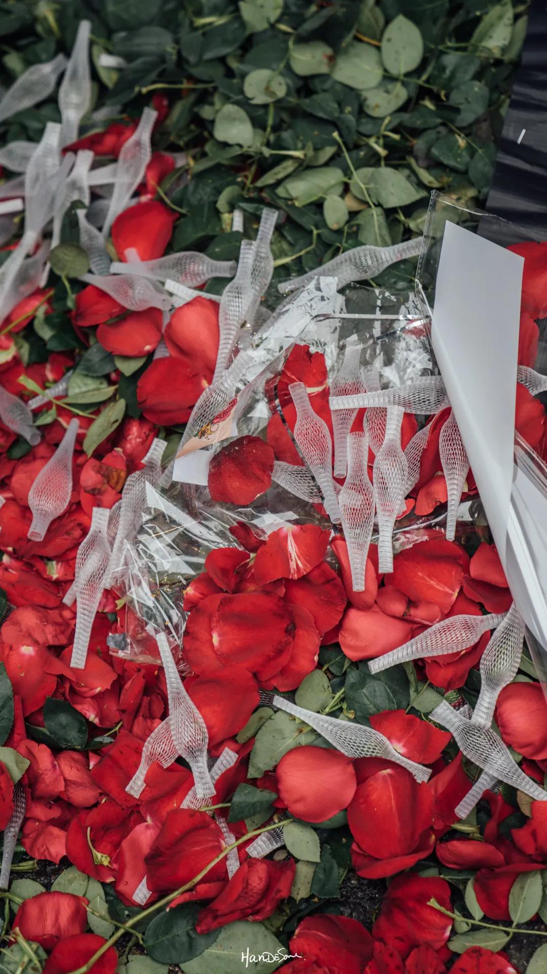 武汉地铁循礼门鲜花花市,武汉循礼门花市蓝色玫瑰