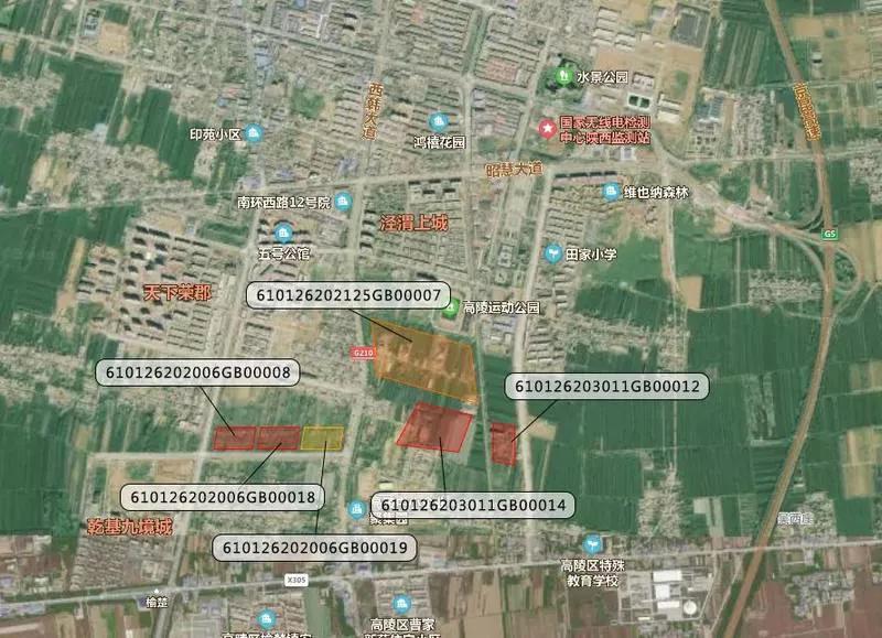 1100亿的重点项目,高陵206亿的大项目是什么项目