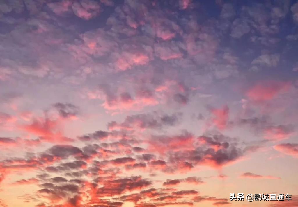 昨天深圳晚霞喜提热搜！美爆了，一大波晚霞图片来袭