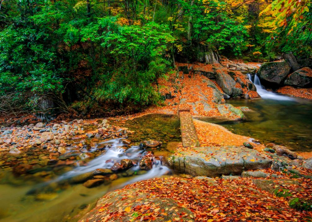 巴中光雾山红叶的最佳时间,红叶谷打卡地