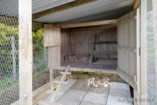 十几年的夫妻感悟,十年的老华人含泪感悟