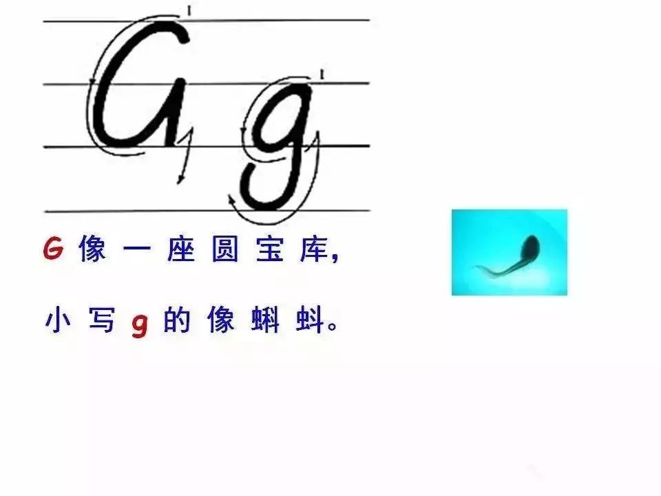 印刷体英文26个字母书写教程,26个字母书写规范让孩子们常练习