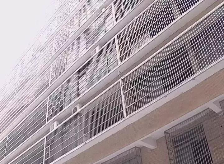 以案说法女网友,被女网友骗20万的真实案例