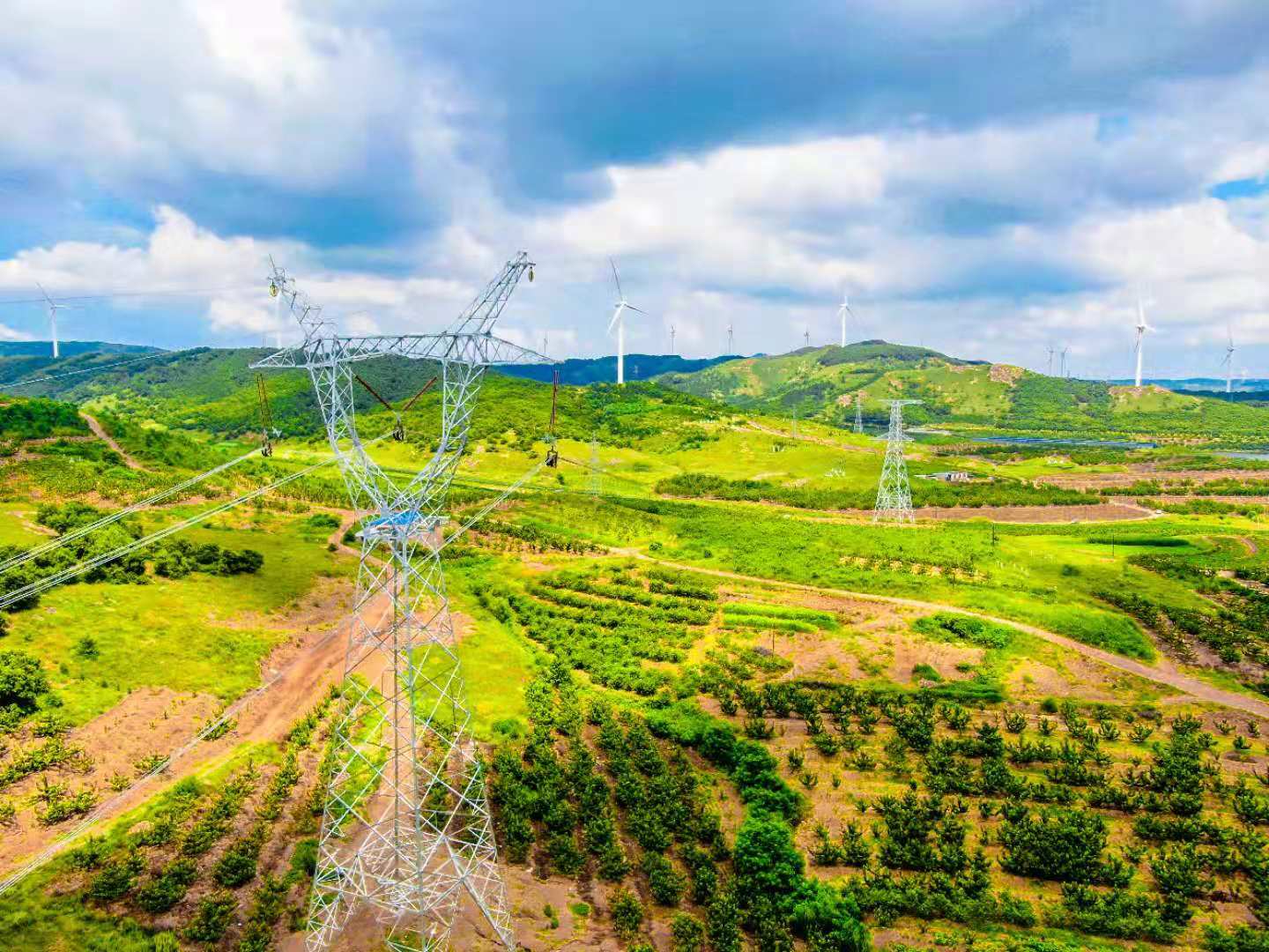 大连倾力打通清洁能源送出“生命线”