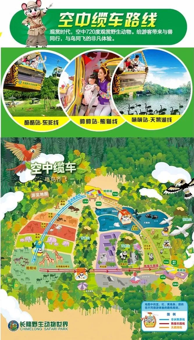 长隆野生动物世界暑假攻略,广州长隆野生动物园亲子一日游攻略