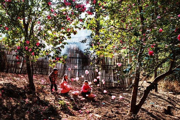 腾冲春天旅游攻略两日游最佳路线,春天怎么去腾冲玩最好玩