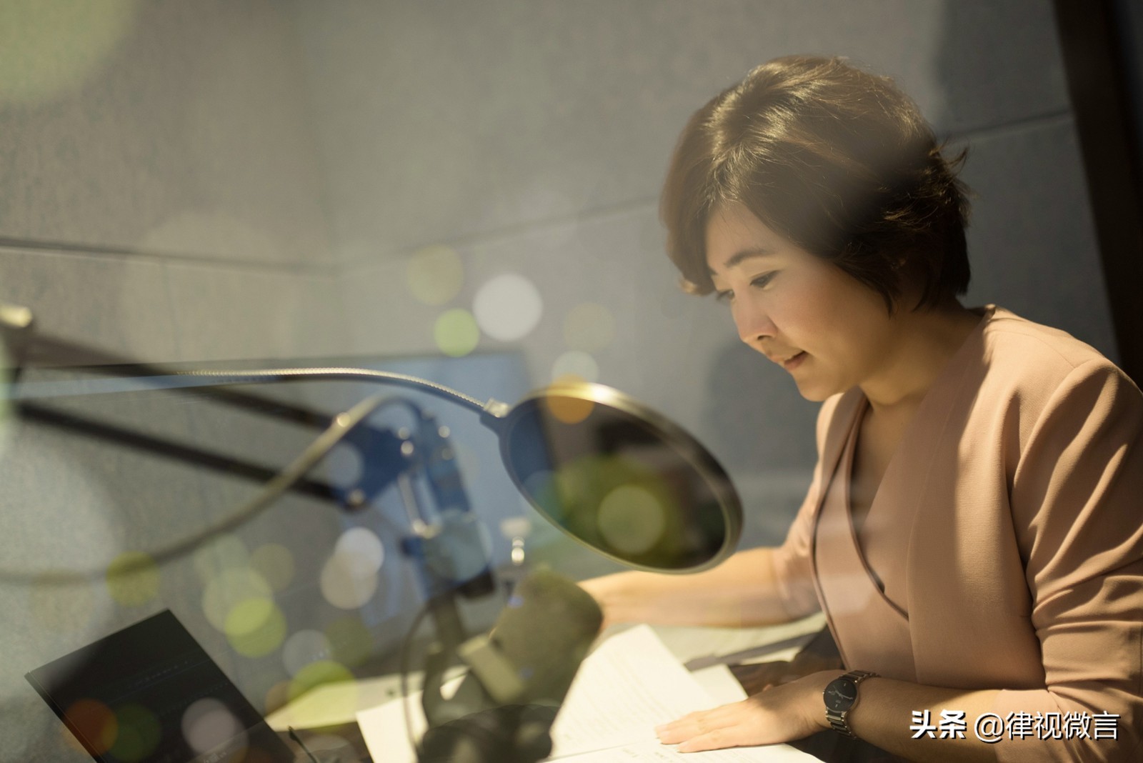 刑辩五朵金花律师,刑辩律师五朵金花