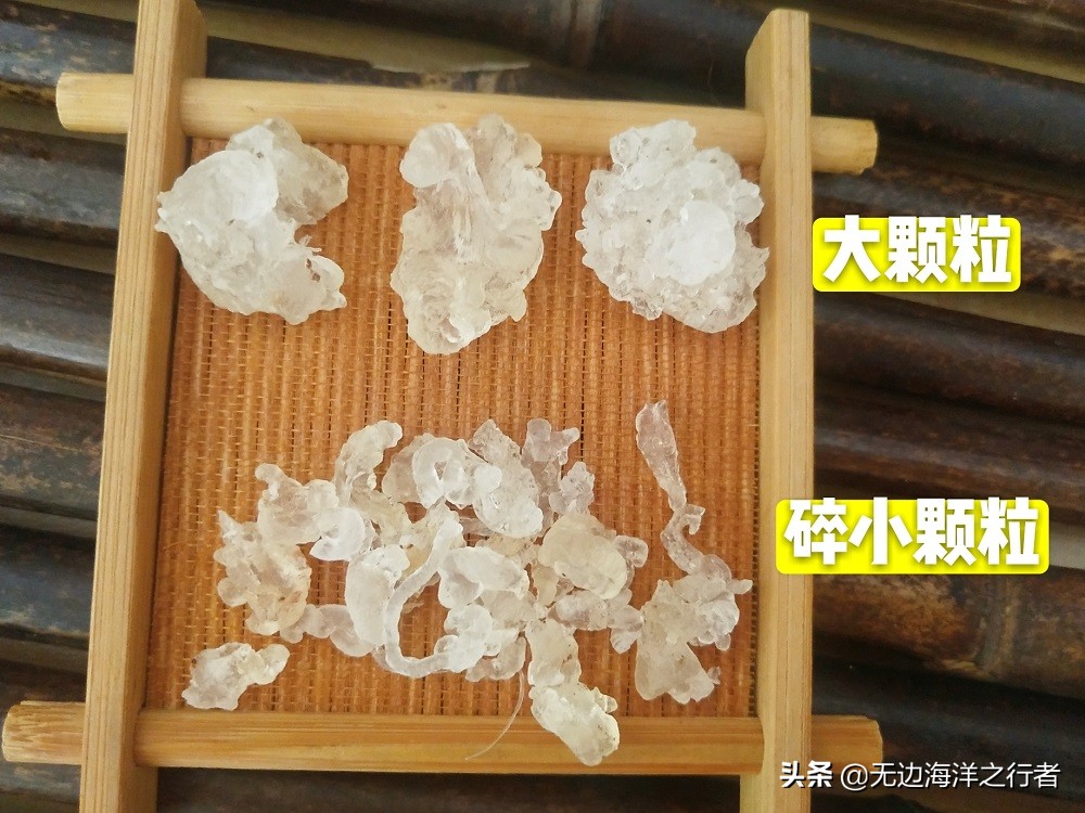 雪燕干货批发,雪燕订单