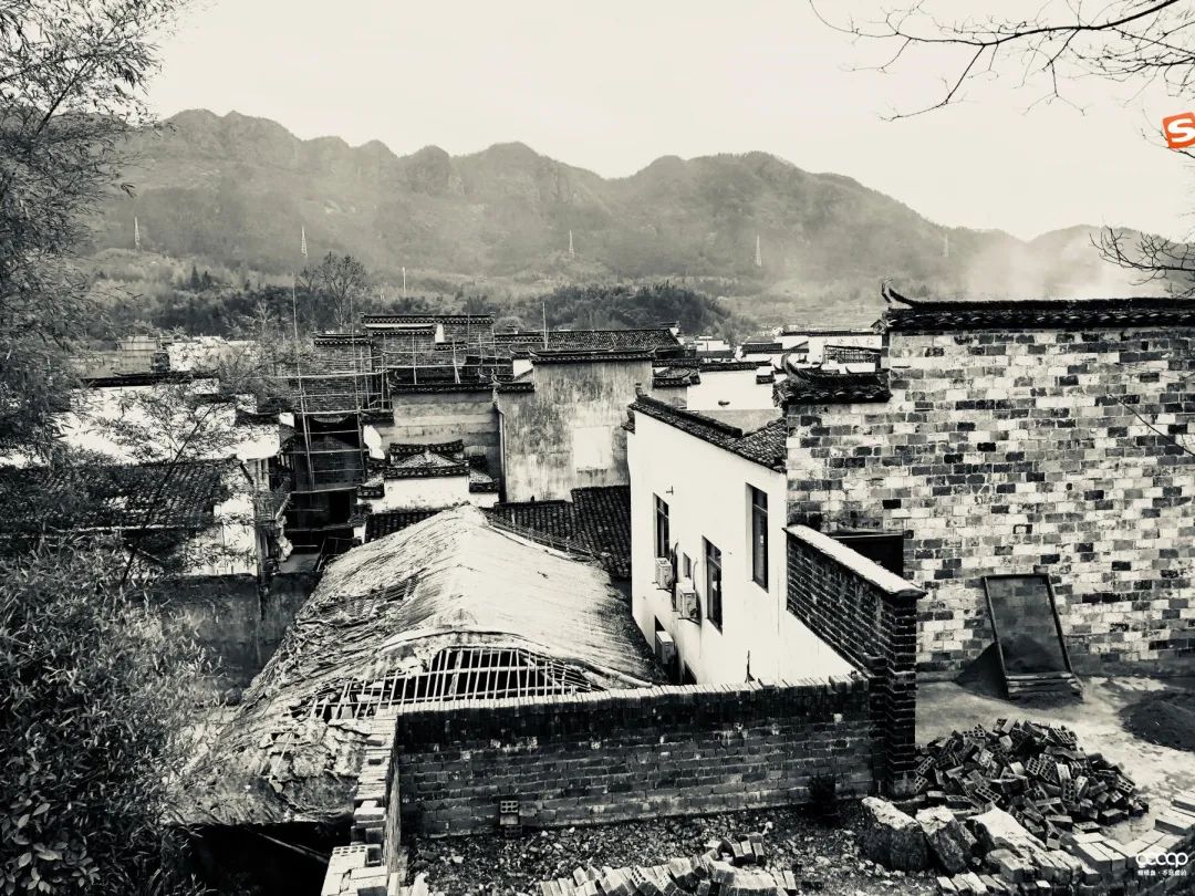 有毒！又一位宝藏小姐姐，玩核桃最爱“马虎”，朋友眼里是奇葩