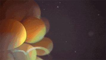 孕期用药有哪些问题,关于孕期吃药