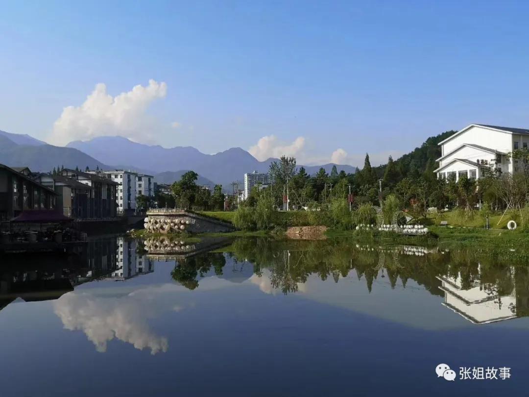 为什么温汤镇很多上海人,上海人在温汤镇