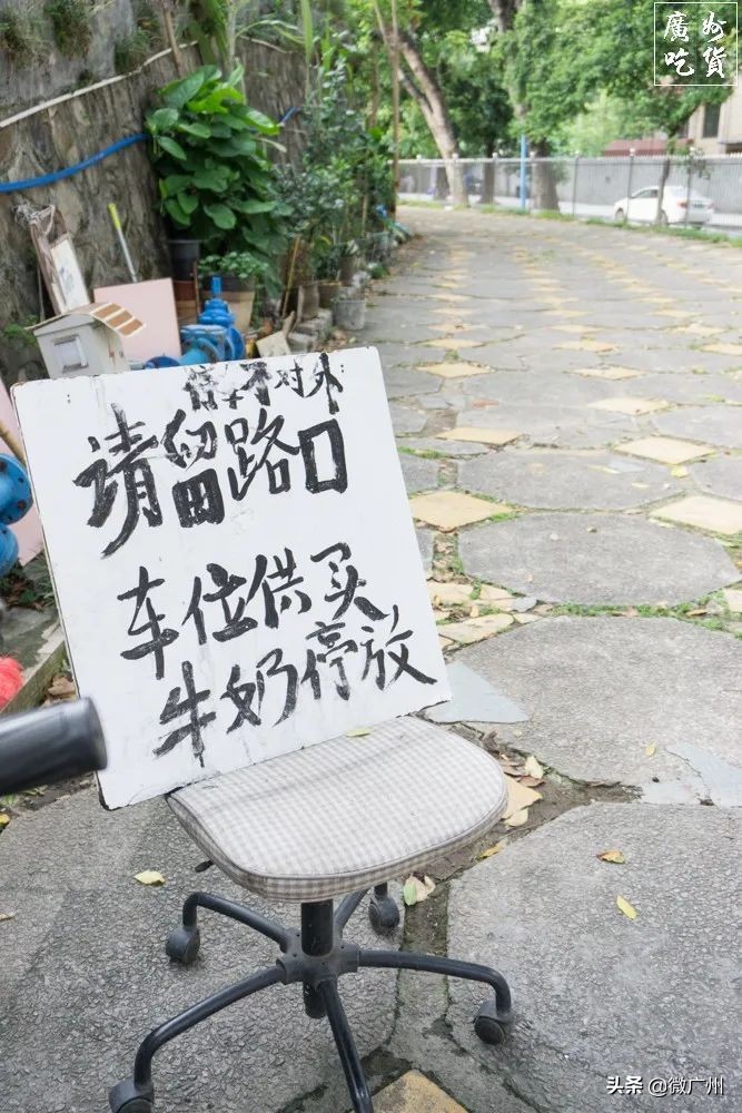 广州市奶牛研究所几点过去买牛奶,广州白云山奶牛研究所