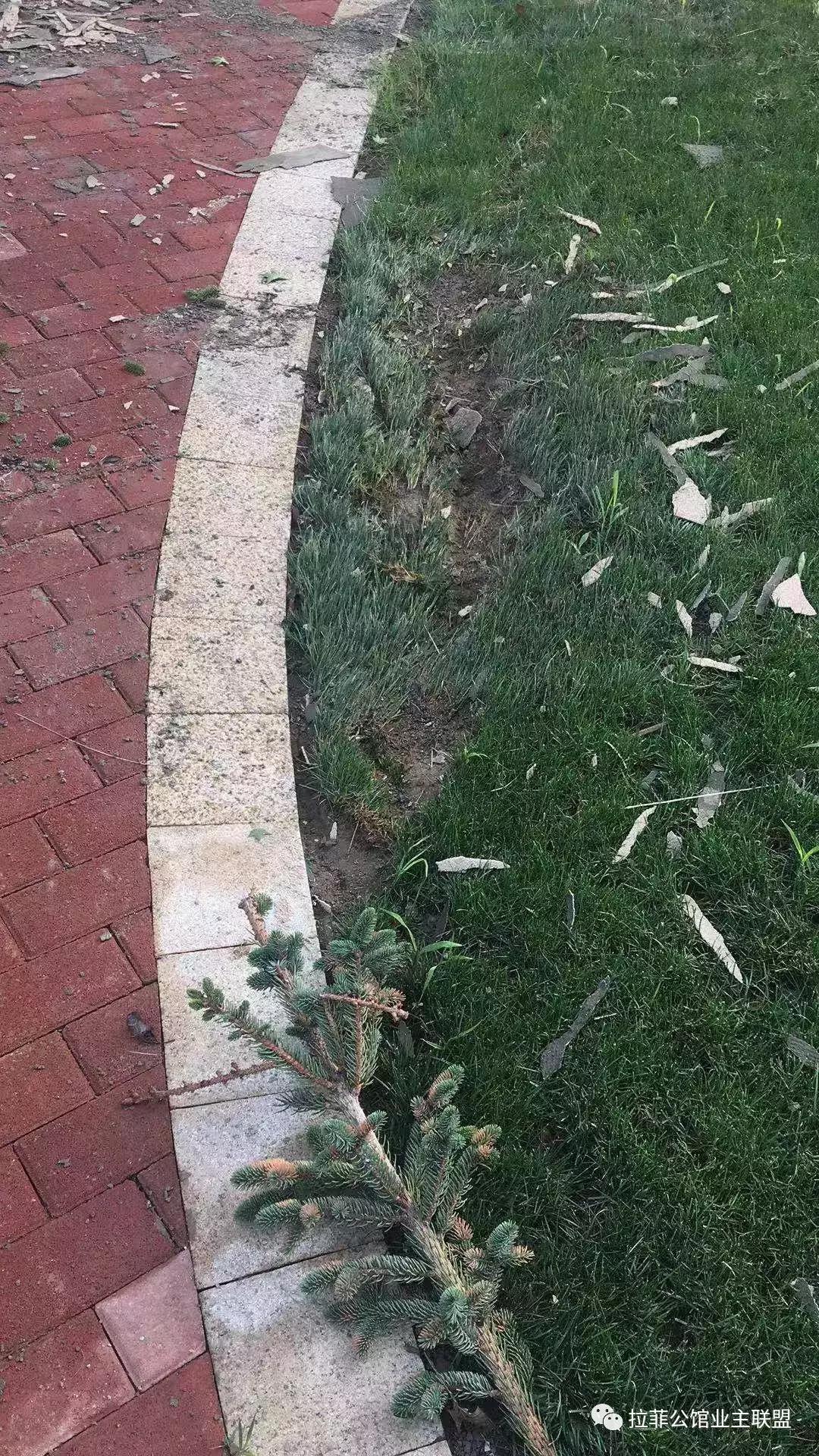 拉菲公馆事件真相,拉菲公馆事件视频