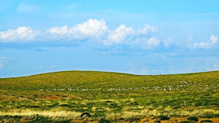 四子王旗——故乡的云，真的好美